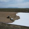 Geotextile 125g/m2 5x120