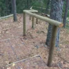 Trepiastmed murukärjega