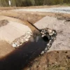 Шерстяные противоэрозионные маты — изображение 3